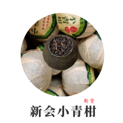 2023年新货小青柑 1000克礼盒罐装 新会小青柑 天马柑