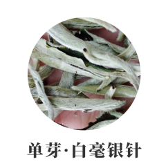 2022年单芽月光白 1000克散装 【大芽】滋味香甜 白毫银针 白茶