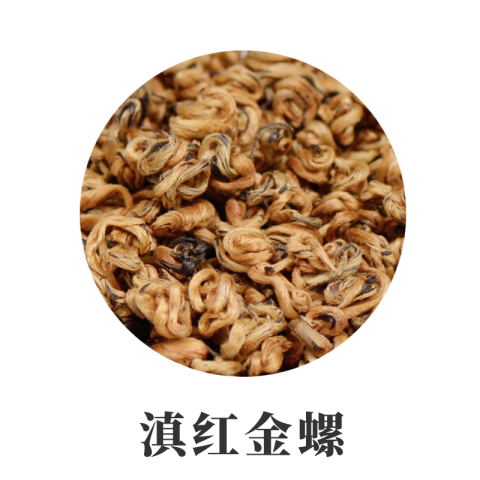 滇红金螺 金芽 滇红碧螺春 单芽特级滇红茶  云南金芽曲红  