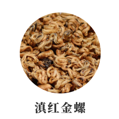 滇红金螺 金芽 滇红碧螺春 单芽特级滇红茶  云南金芽曲红  