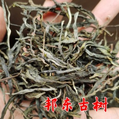2022年邦东古树茶 临沧茶区大叶种 古树普洱茶 岩韵古树散茶 晒青毛茶