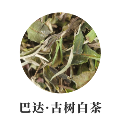 2023年巴达古树白茶500克 白牡丹云南大叶种白茶散茶 滋味香 甘甜